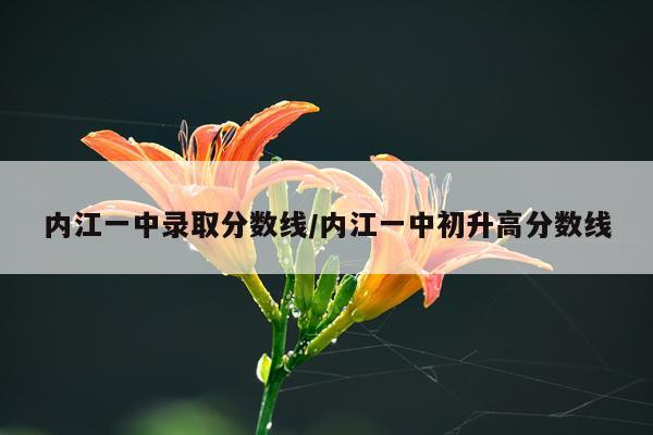 内江一中录取分数线/内江一中初升高分数线