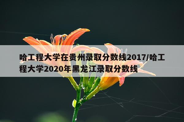 哈工程大学在贵州录取分数线2017/哈工程大学2020年黑龙江录取分数线