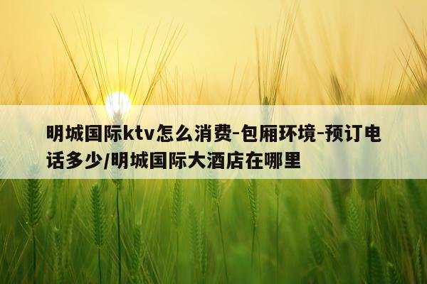 明城国际ktv怎么消费-包厢环境-预订电话多少/明城国际大酒店在哪里