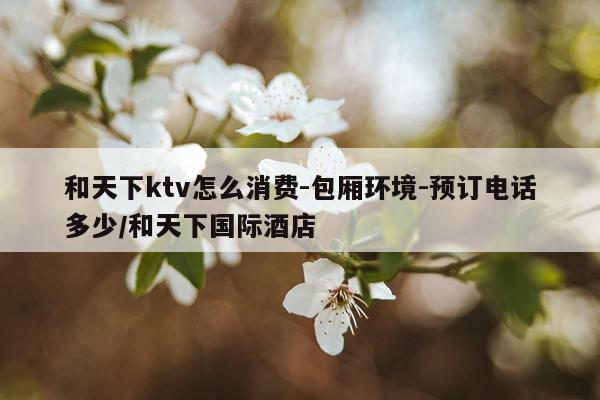 和天下ktv怎么消费-包厢环境-预订电话多少/和天下国际酒店