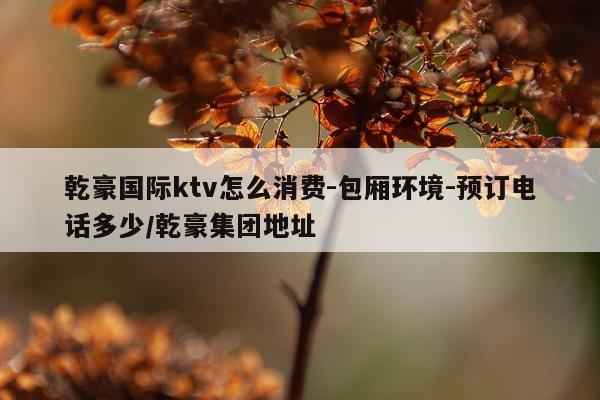 乾豪国际ktv怎么消费-包厢环境-预订电话多少/乾豪集团地址
