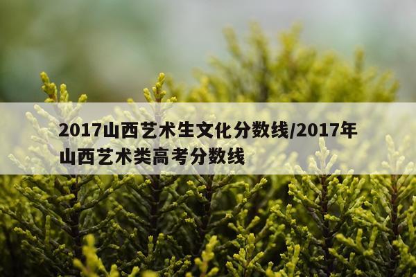 2017山西艺术生文化分数线/2017年山西艺术类高考分数线
