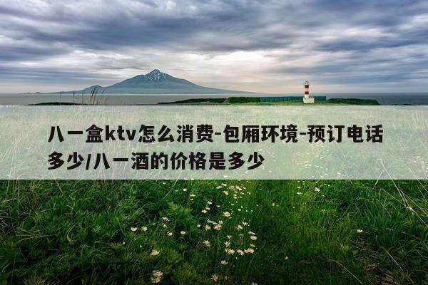 八一盒ktv怎么消费-包厢环境-预订电话多少/八一酒的价格是多少