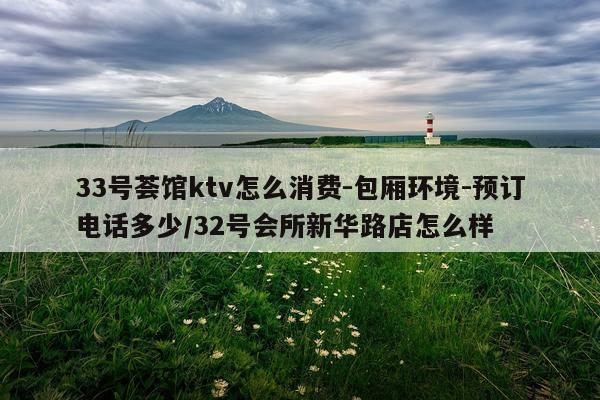 33号荟馆ktv怎么消费-包厢环境-预订电话多少/32号会所新华路店怎么样