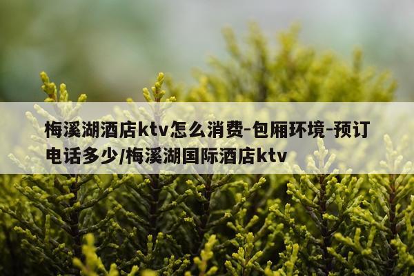 梅溪湖酒店ktv怎么消费-包厢环境-预订电话多少/梅溪湖国际酒店ktv