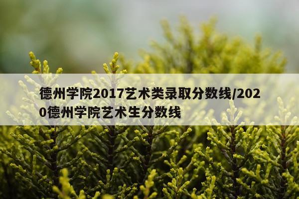 德州学院2017艺术类录取分数线/2020德州学院艺术生分数线