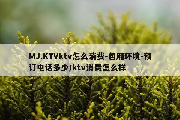 MJ.KTVktv怎么消费-包厢环境-预订电话多少/ktv消费怎么样