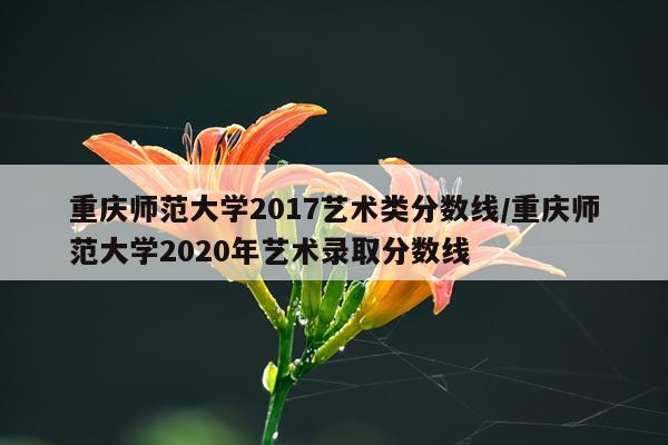 重庆师范大学2017艺术类分数线/重庆师范大学2020年艺术录取分数线