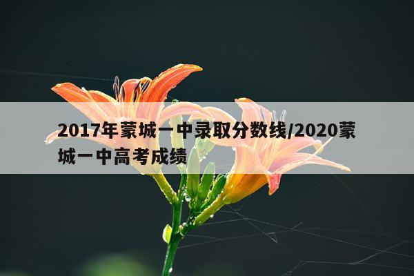 2017年蒙城一中录取分数线/2020蒙城一中高考成绩