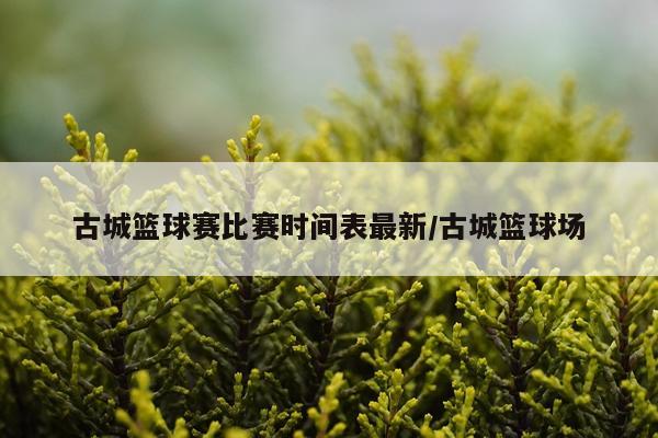 古城篮球赛比赛时间表最新/古城篮球场