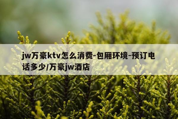 jw万豪ktv怎么消费-包厢环境-预订电话多少/万豪jw酒店