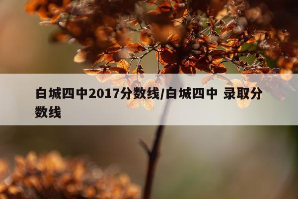 白城四中2017分数线/白城四中 录取分数线