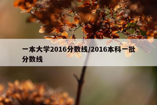 一本大学2016分数线/2016本科一批分数线
