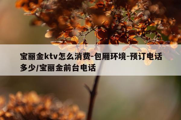 宝丽金ktv怎么消费-包厢环境-预订电话多少/宝丽金前台电话