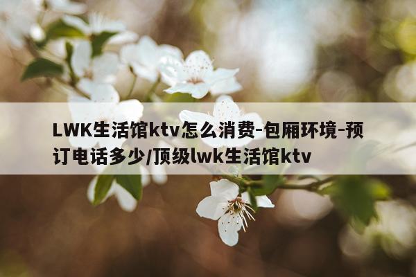 LWK生活馆ktv怎么消费-包厢环境-预订电话多少/顶级lwk生活馆ktv