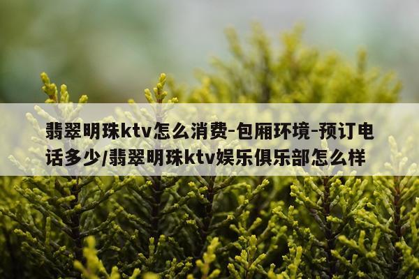翡翠明珠ktv怎么消费-包厢环境-预订电话多少/翡翠明珠ktv娱乐俱乐部怎么样