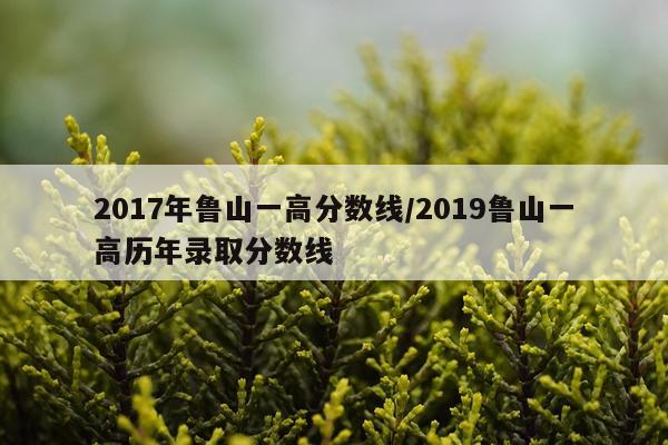 2017年鲁山一高分数线/2019鲁山一高历年录取分数线