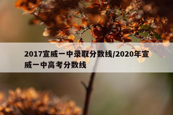 2017宣威一中录取分数线/2020年宣威一中高考分数线