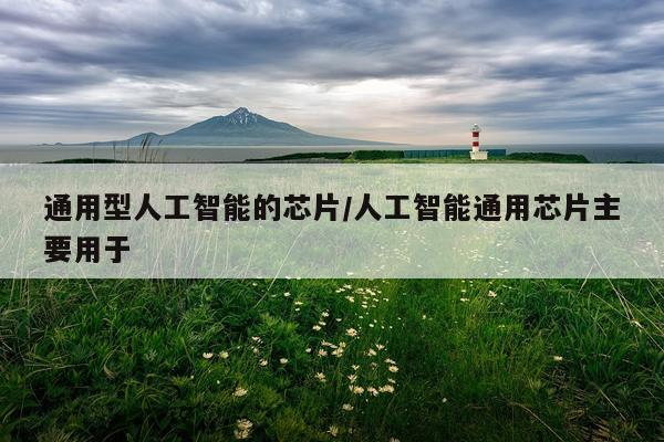 通用型人工智能的芯片/人工智能通用芯片主要用于