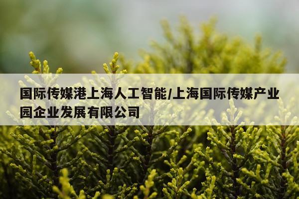 国际传媒港上海人工智能/上海国际传媒产业园企业发展有限公司
