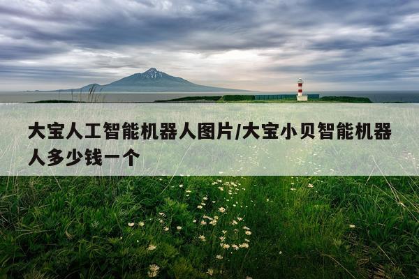 大宝人工智能机器人图片/大宝小贝智能机器人多少钱一个