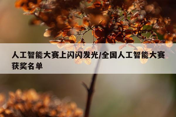 人工智能大赛上闪闪发光/全国人工智能大赛获奖名单