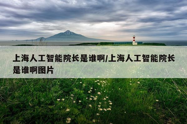 上海人工智能院长是谁啊/上海人工智能院长是谁啊图片