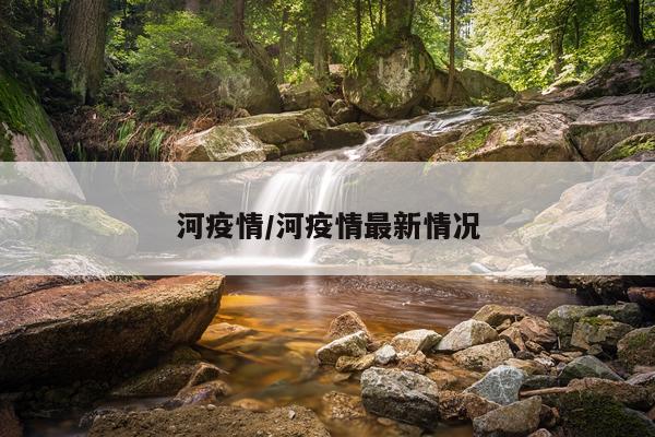 河疫情/河疫情最新情况