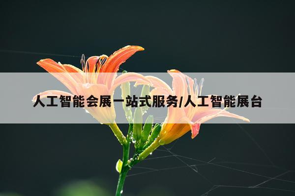 人工智能会展一站式服务/人工智能展台
