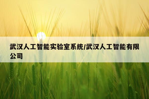武汉人工智能实验室系统/武汉人工智能有限公司