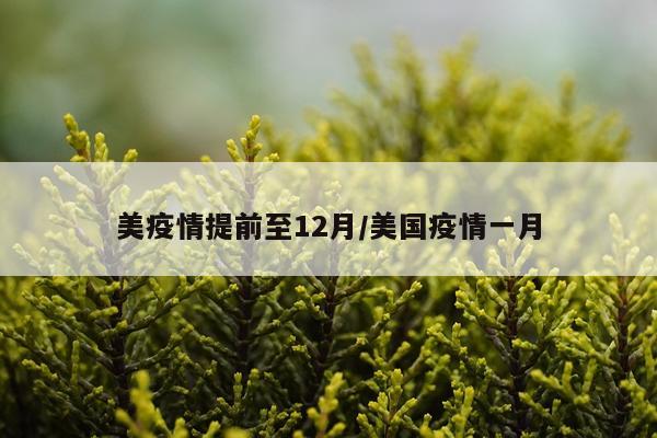 美疫情提前至12月/美国疫情一月
