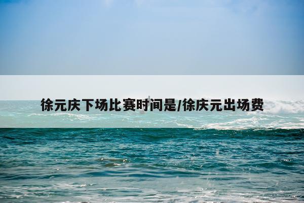 徐元庆下场比赛时间是/徐庆元出场费