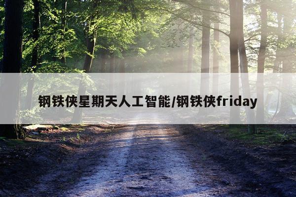 钢铁侠星期天人工智能/钢铁侠friday