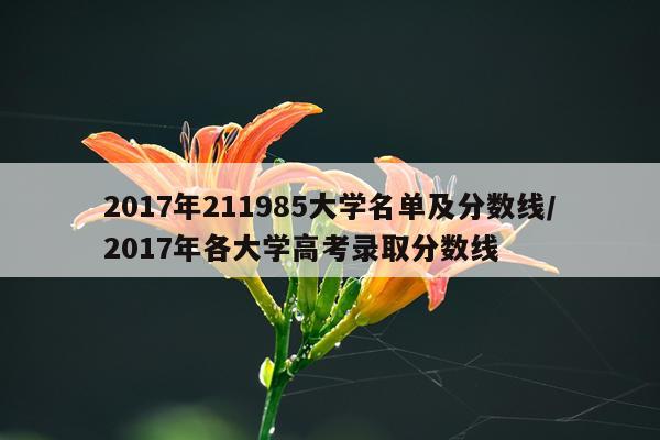 2017年211985大学名单及分数线/2017年各大学高考录取分数线