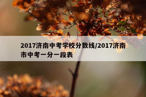 2017济南中考学校分数线/2017济南市中考一分一段表