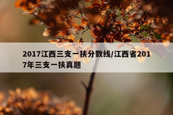 2017江西三支一扶分数线/江西省2017年三支一扶真题