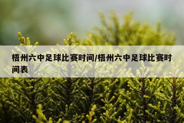 梧州六中足球比赛时间/梧州六中足球比赛时间表