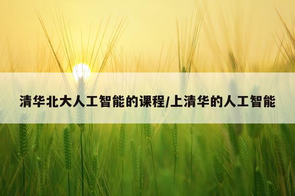 清华北大人工智能的课程/上清华的人工智能