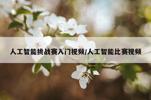 人工智能挑战赛入门视频/人工智能比赛视频