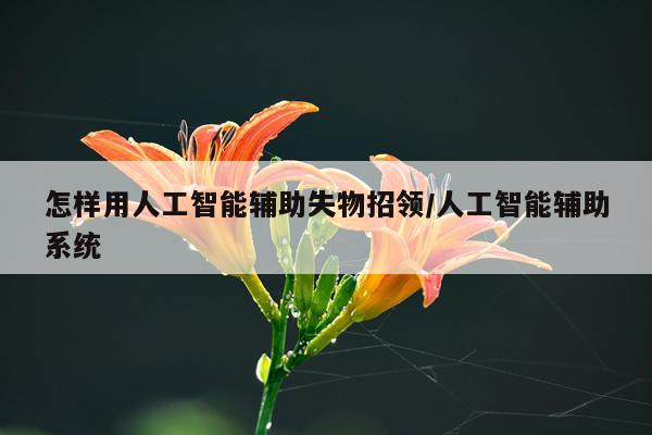 怎样用人工智能辅助失物招领/人工智能辅助系统