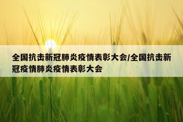 全国抗击新冠肺炎疫情表彰大会/全国抗击新冠疫情肺炎疫情表彰大会