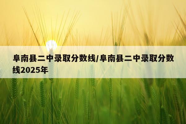 阜南县二中录取分数线/阜南县二中录取分数线2025年