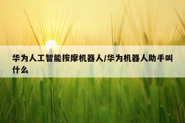 华为人工智能按摩机器人/华为机器人助手叫什么