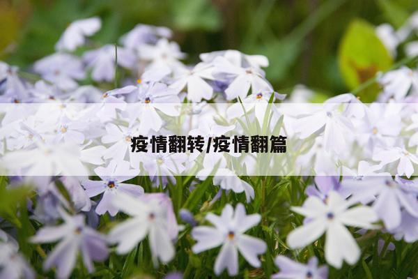 疫情翻转/疫情翻篇