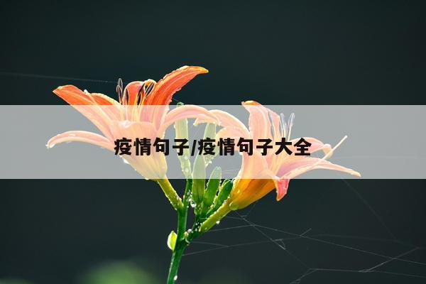 疫情句子/疫情句子大全