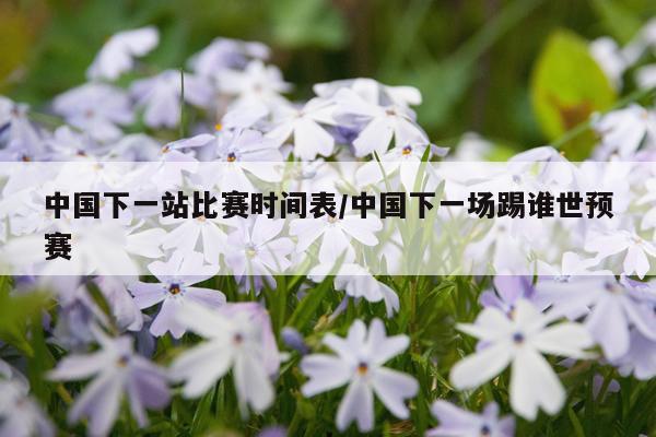 中国下一站比赛时间表/中国下一场踢谁世预赛