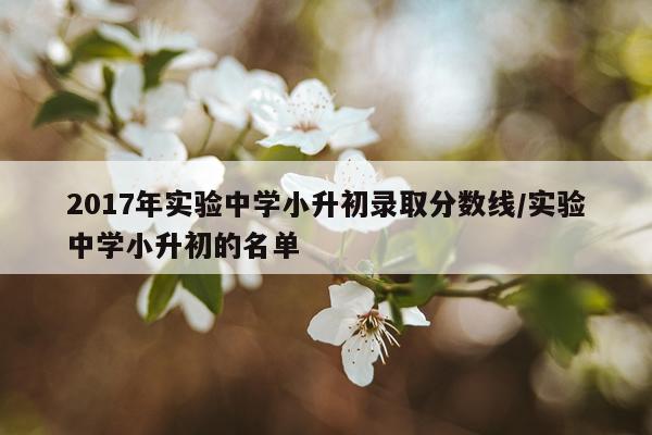 2017年实验中学小升初录取分数线/实验中学小升初的名单