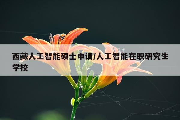 西藏人工智能硕士申请/人工智能在职研究生学校