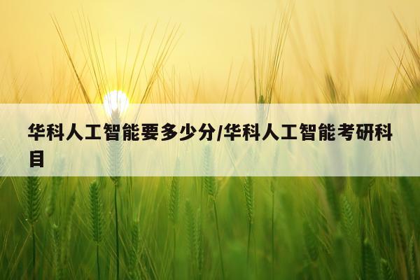 华科人工智能要多少分/华科人工智能考研科目