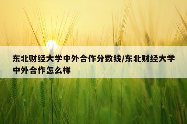 东北财经大学中外合作分数线/东北财经大学中外合作怎么样
